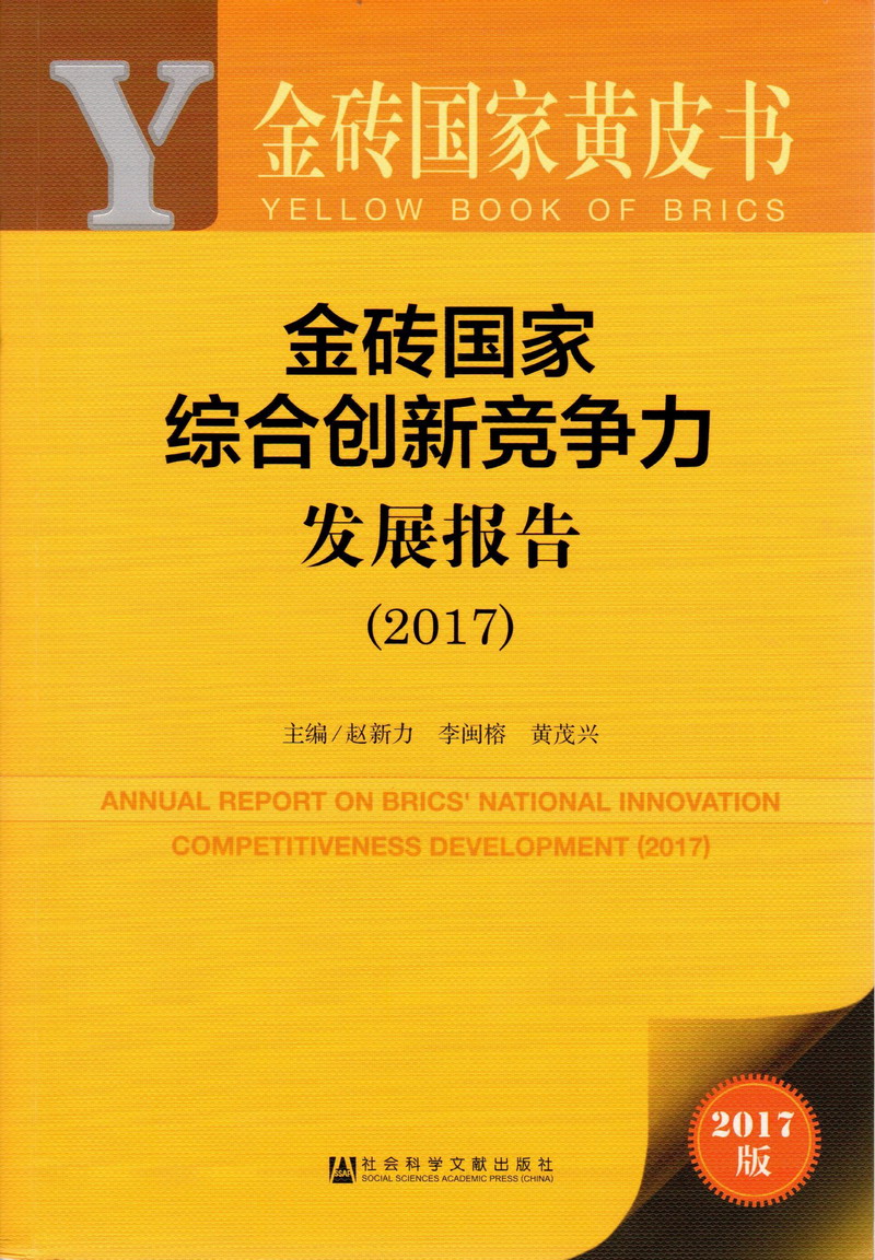 啊啊啊嗯嗯嗯轮奸好小说流水了金砖国家综合创新竞争力发展报告（2017）